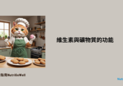 維生素與礦物質的功能